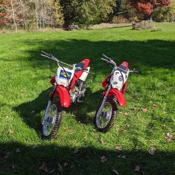 Meet your Posher, Benjamin - Picture 1 of 1